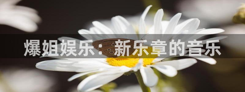 东升国际注册