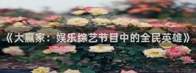 东升国际app官方下载：《大赢家：娱乐综艺节目中的全民英雄》
