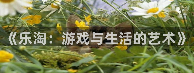 东升国际服：《乐淘：游戏与生活的艺术》